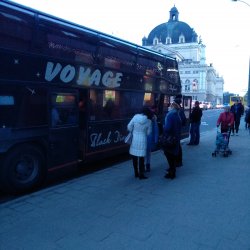 Ирина Петровна, учитель истории, Киев